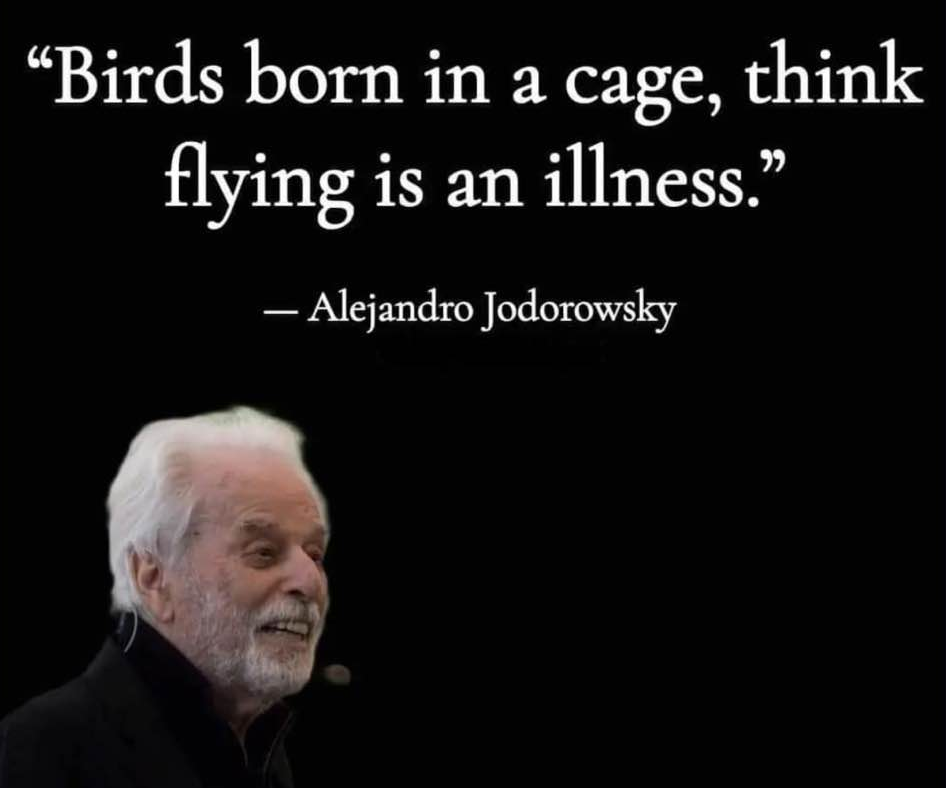 1250+ Snippets Highlights Taken From 7+Gb HTMLs John Kuhles ACCM DeepEthics Project